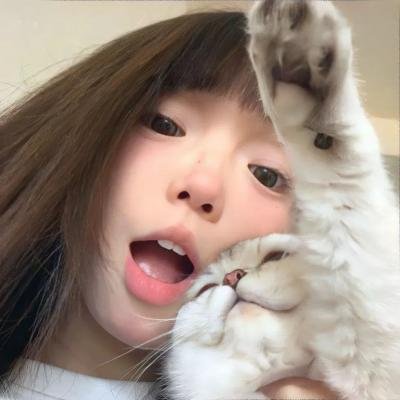 假如猫从世界上消失了